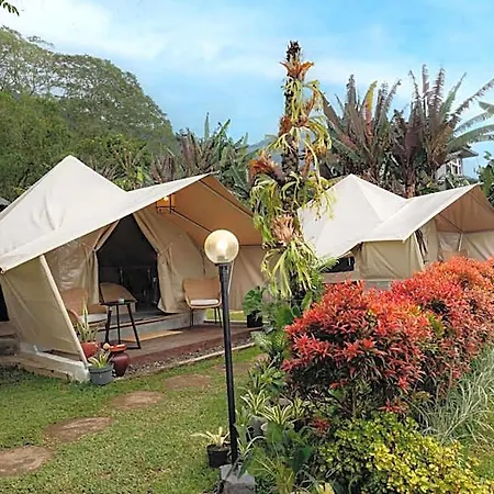 Alamu Eco Lodge