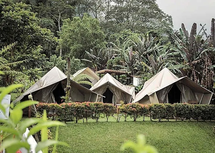 Alamu Eco Campo de lujo Wanagiri