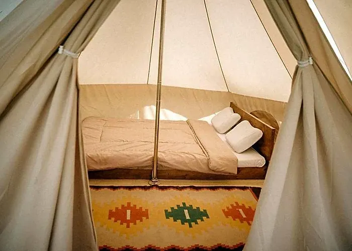 Alamu Eco 3*
