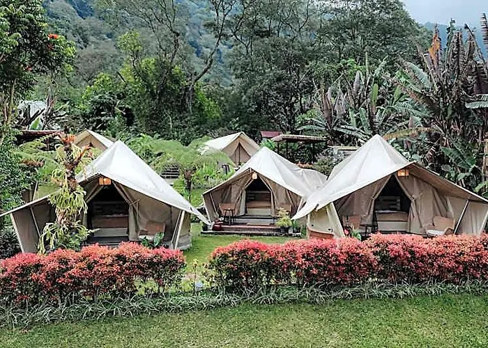 Alamu Eco Campo de lujo Wanagiri