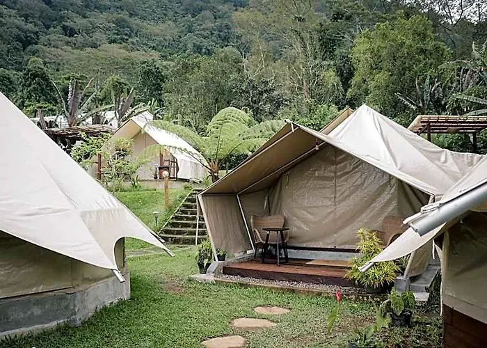 Alamu Eco Campo de lujo Wanagiri