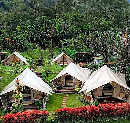 Alamu Eco