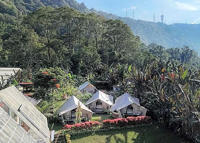 Alamu Eco Campo de lujo